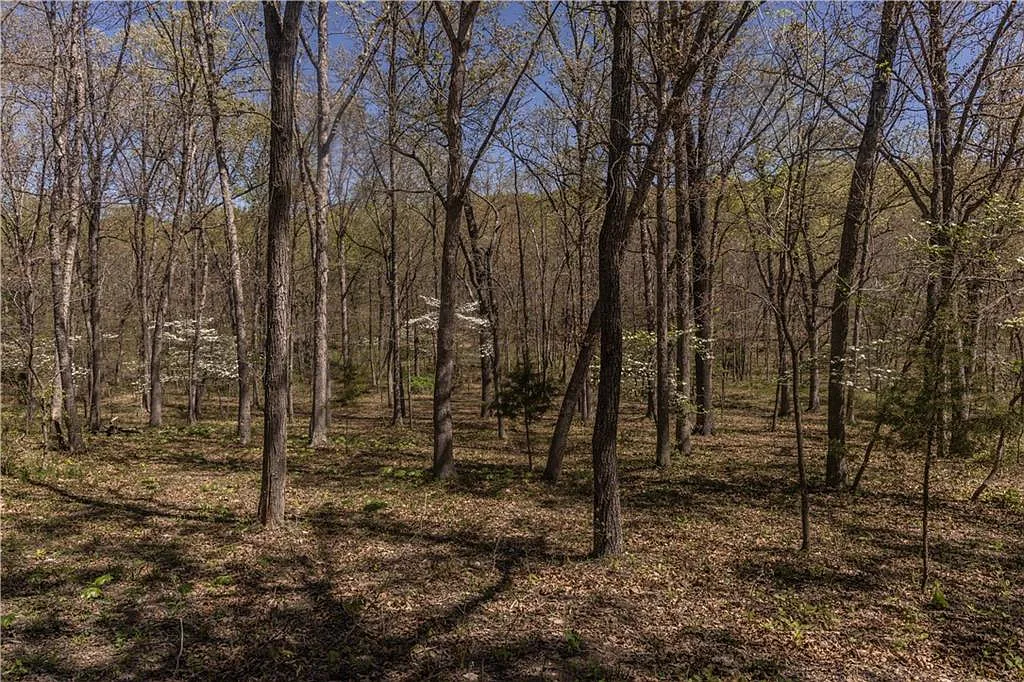 pma website pma property